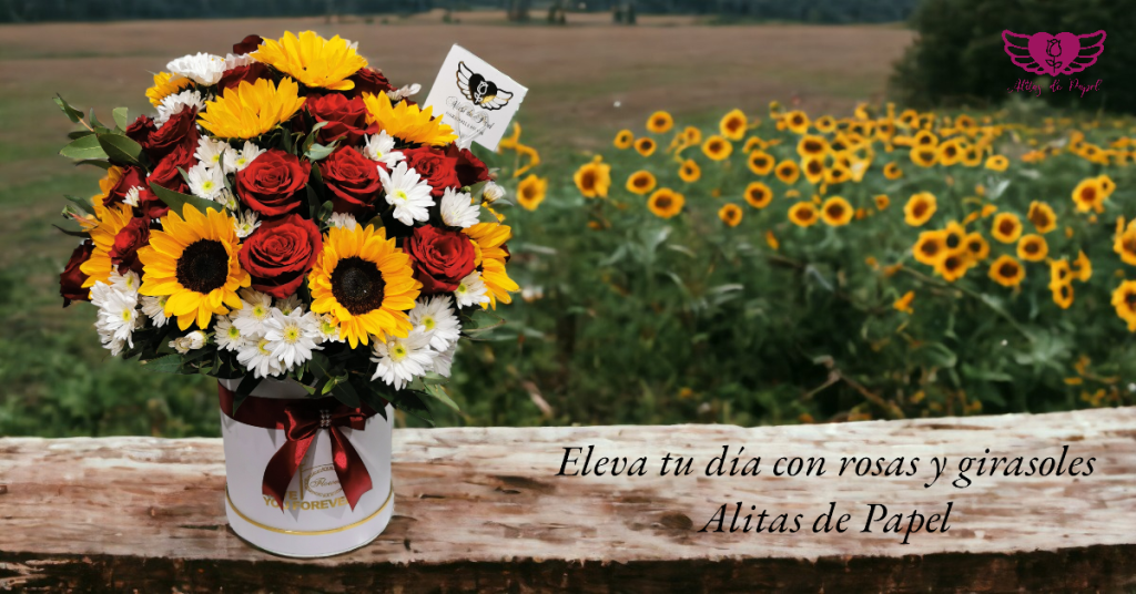 BOX DE GIRASOLES Y ROSAS EN EL CAMPO