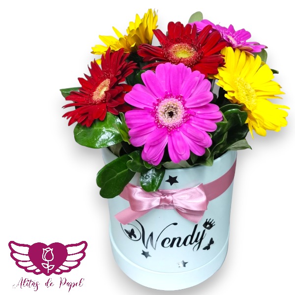 Las Gerberas: Belleza y Versatilidad en una Flor 2 BOX GERBERAS